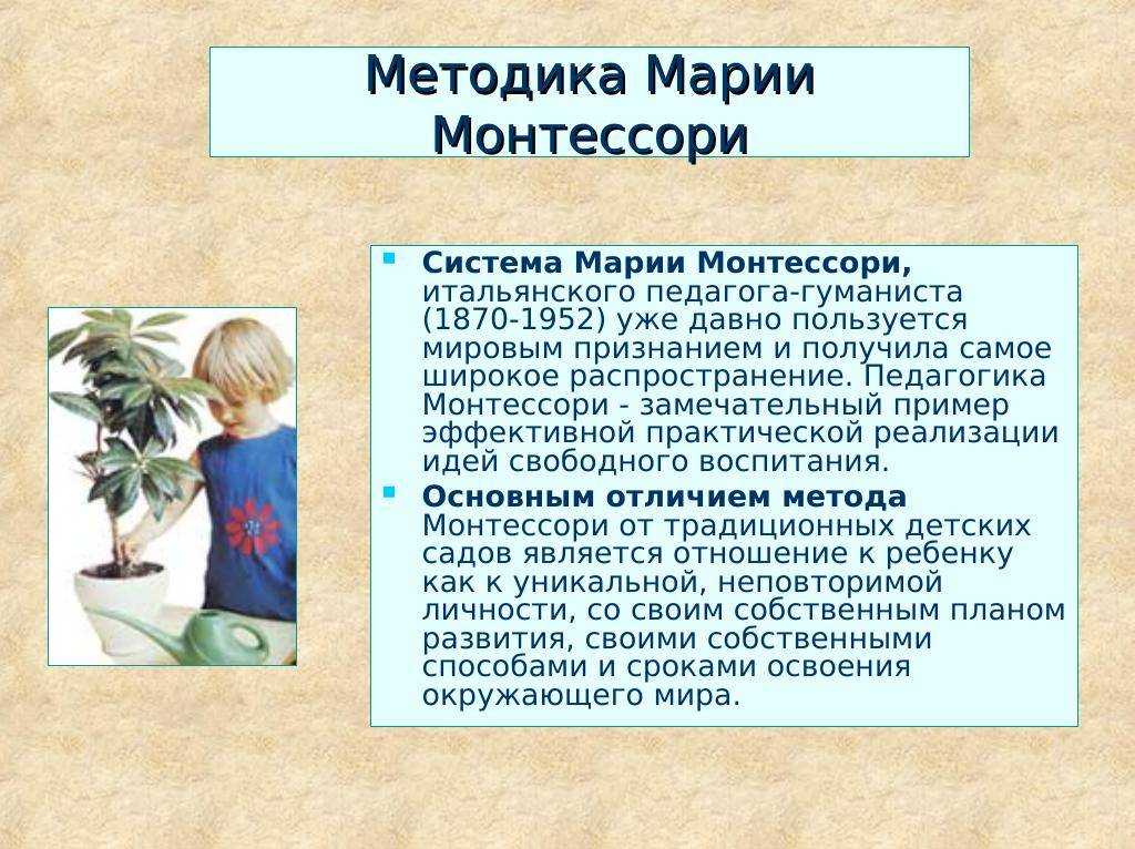 Монтессори: методика раннего развития, суть и принципы, плюсы и минусы системы