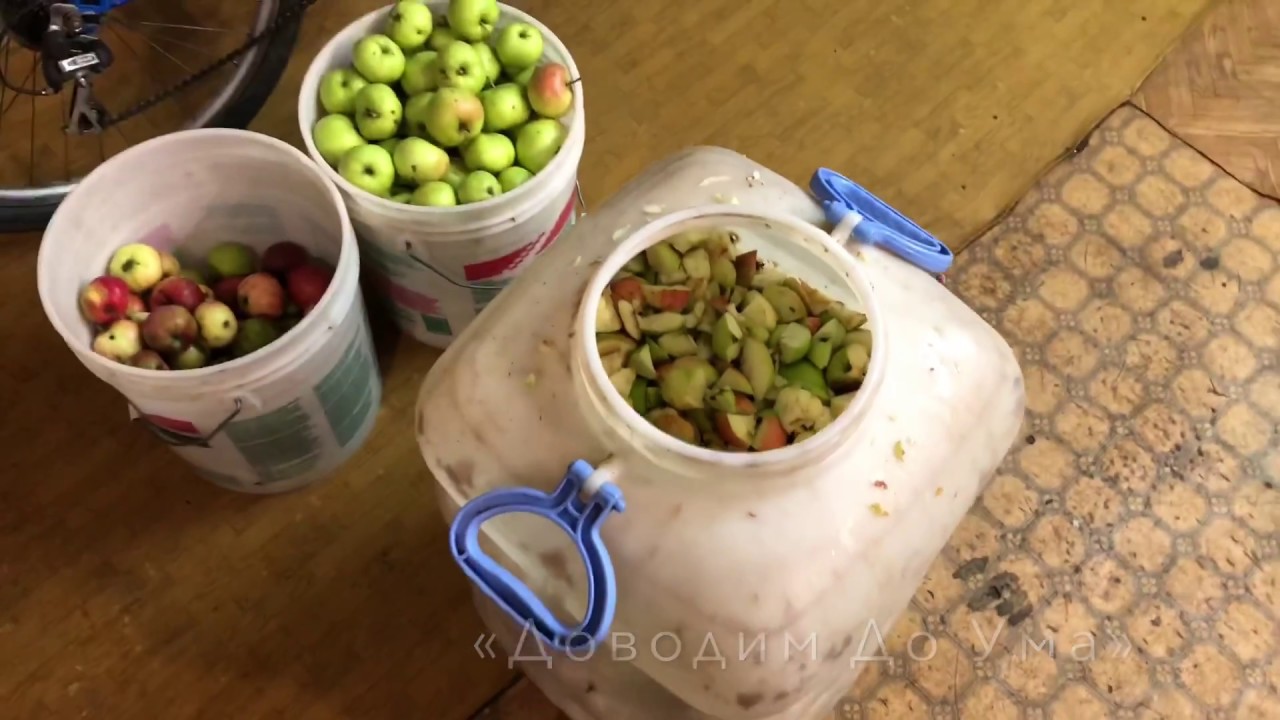 Как сварить отличную брагу из винограда в домашних условиях