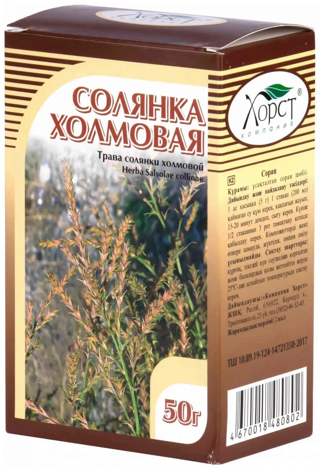 Лечебные свойства травы солянка холмовая и способы применения