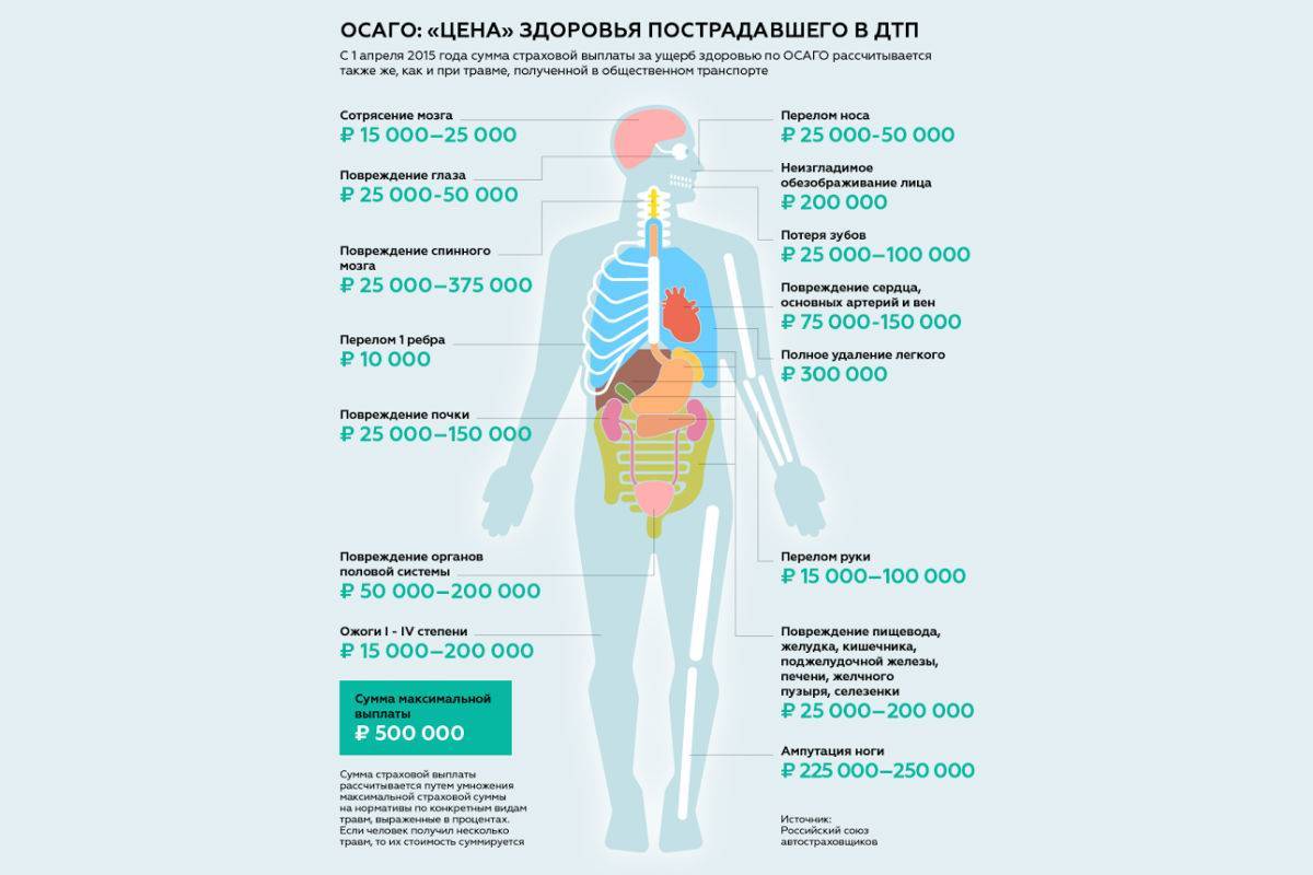 Cроки выплат по осаго в 2024 году