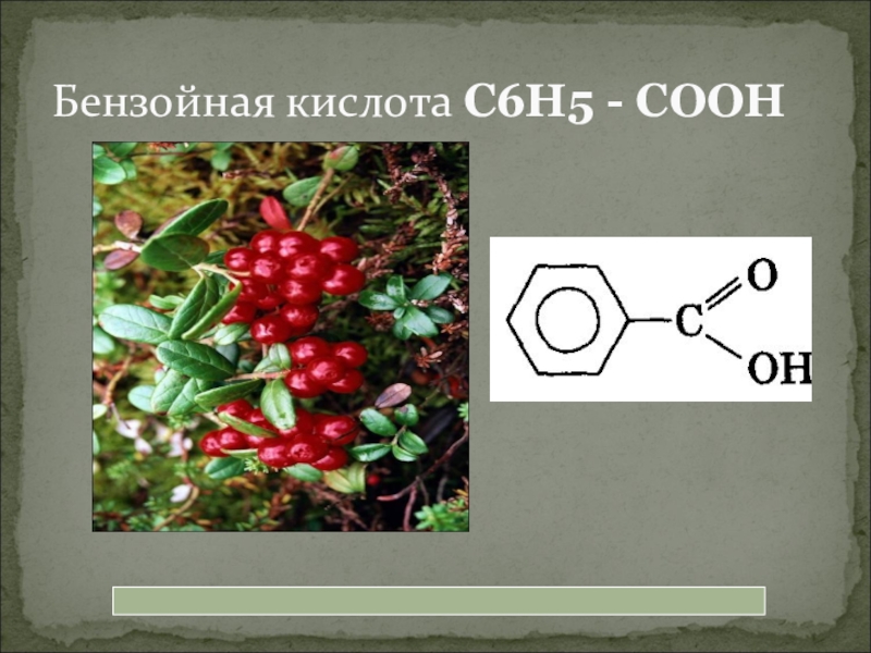 Лекция 15. карбоновые кислоты и их производные