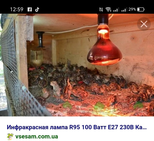 Какую лампу выбрать для отопления помещения: их характеристики, инфракрасные