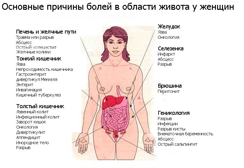 К чему чешется спина — значение приметы в зависимости от места зуда