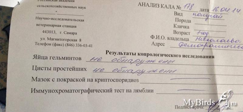 Какие анализы сдают для бассейна ребенку?