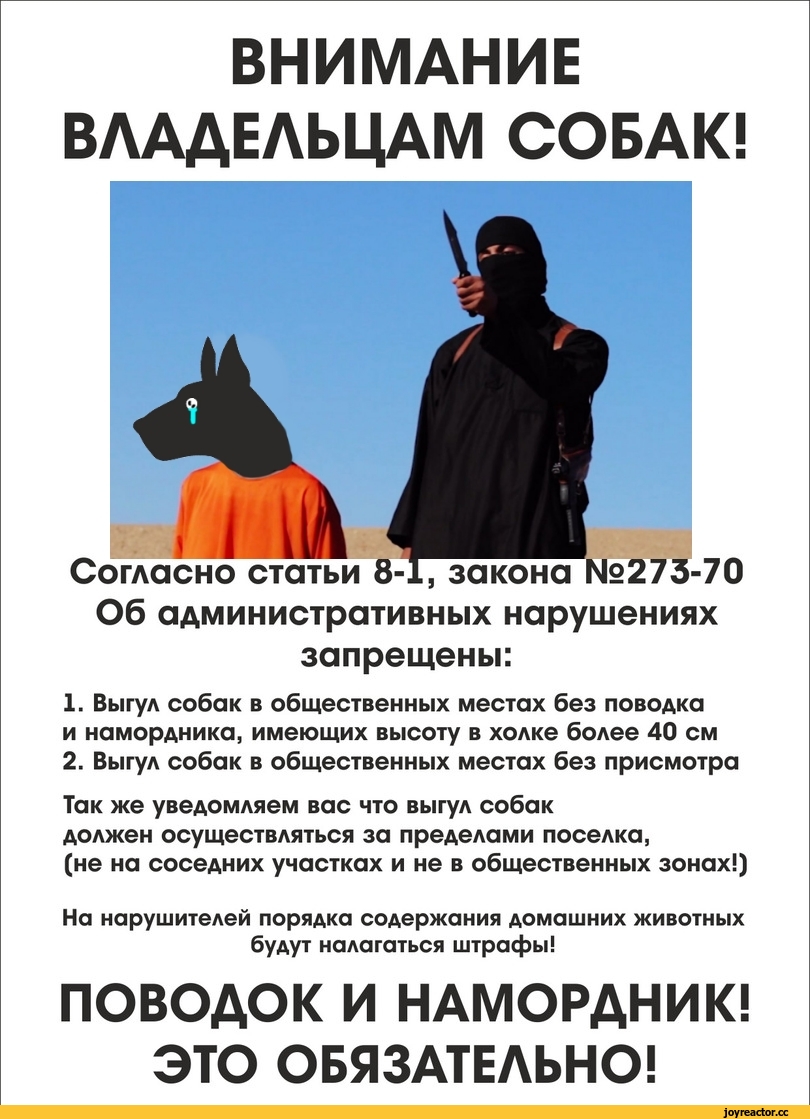 Правила выгула собак в 2021 году: поправки в закон, места для выгула, штрафы