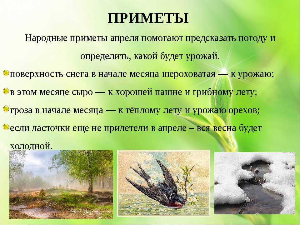 Народные приметы о погоде в разное время года: какие бывают природные предсказания и суеверия