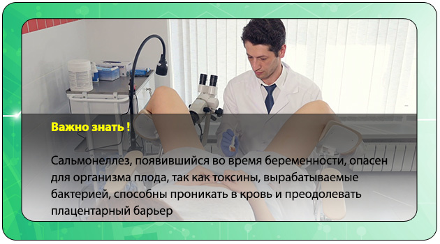 Сальмонелла (сальмонеллез): симптомы, диагностика, лечение | университетская клиника