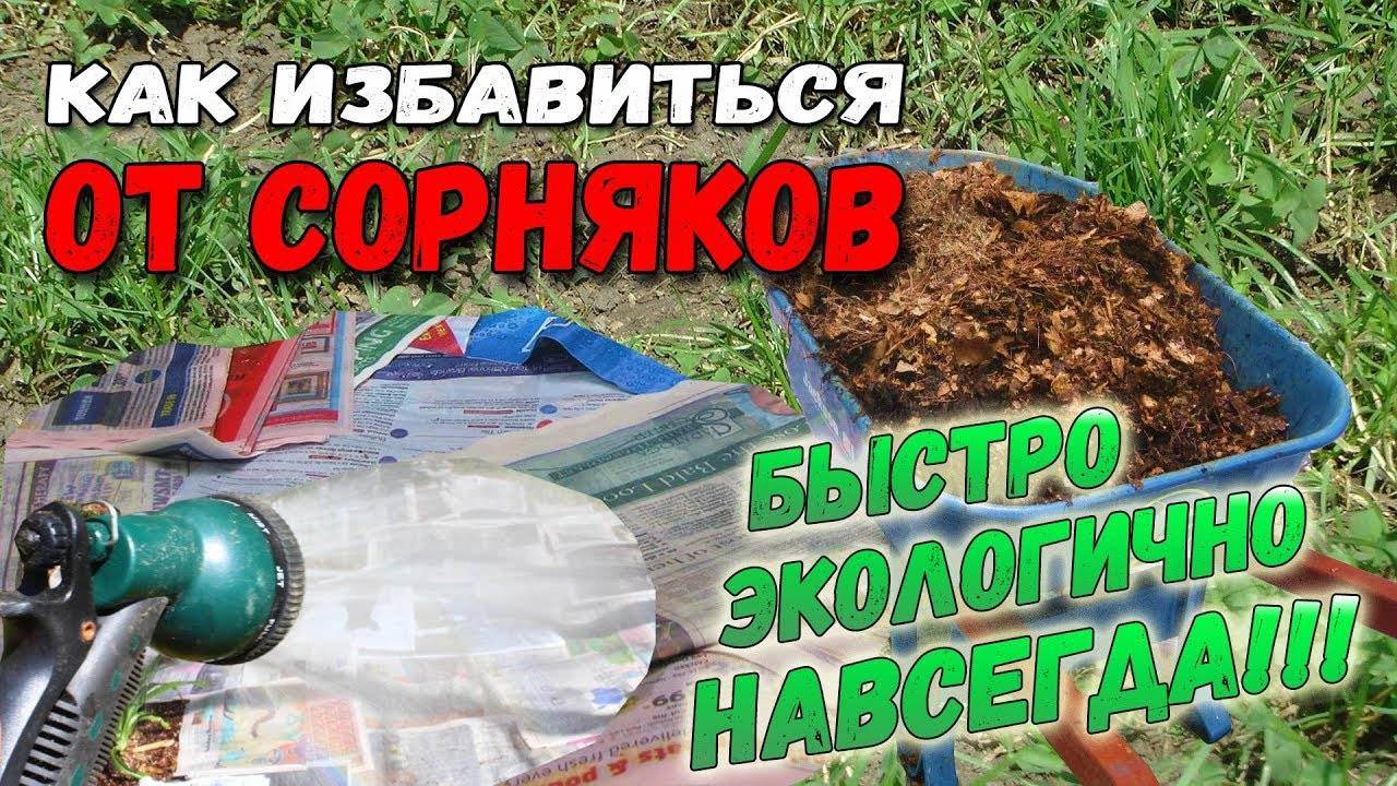 Гербицид "торнадо 500": описание и инструкция по применению