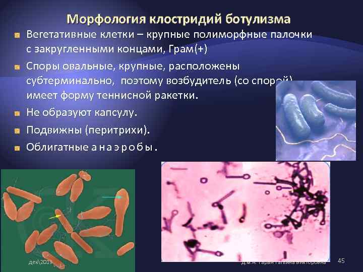 Газовая гангрена
