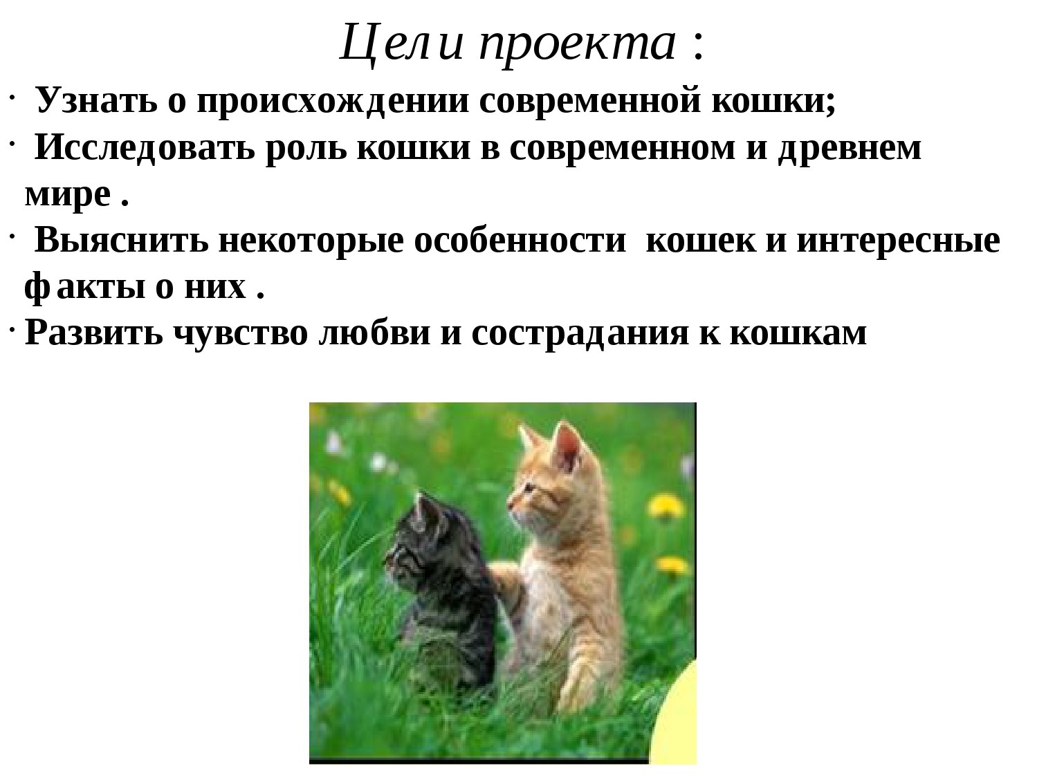 Как определить породу кошки - энциклопедия про кошек и собак