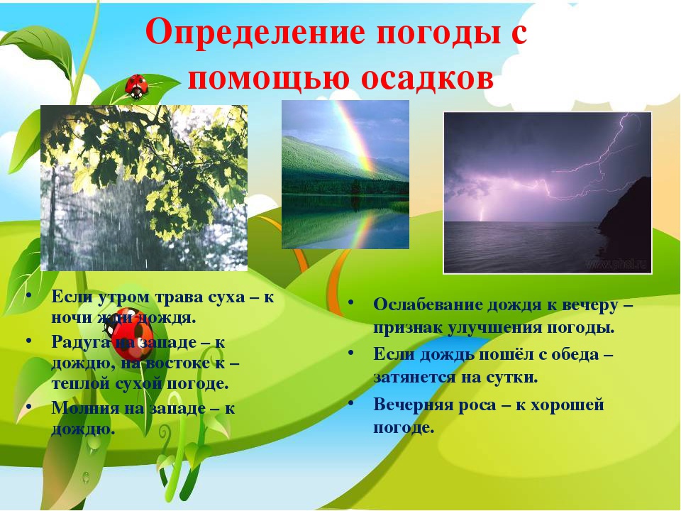 Народные приметы, которые предсказывают погоду: ясную, холодную, предсказания по животным, насекомым, птицам