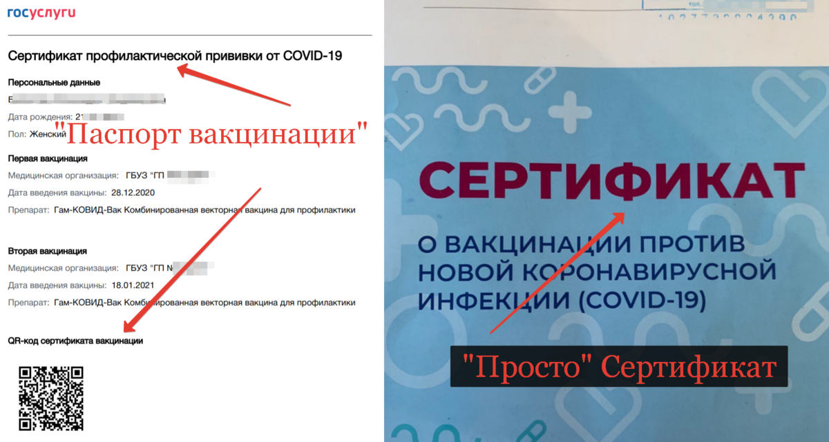 Где взять справку о прививках?