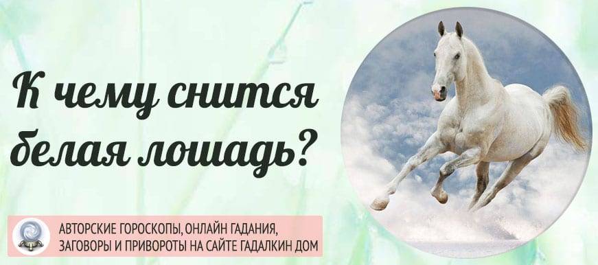 К чему снятся белые розы