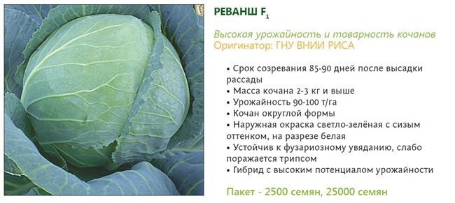 Сонник капуста | гороскопы 365