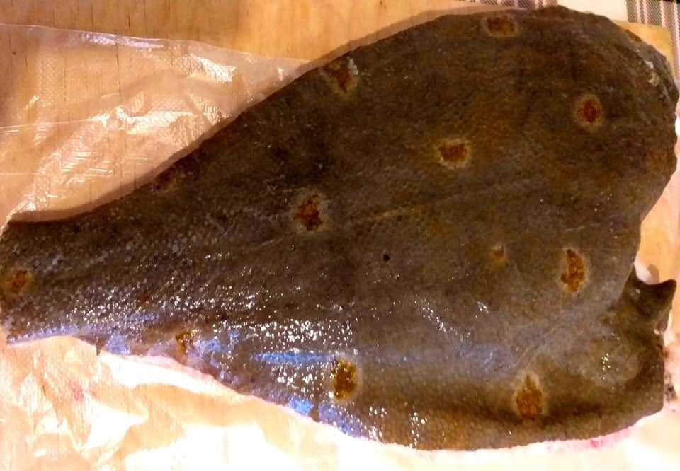 Популярные рецепты камбалы: закуски и вторые блюда