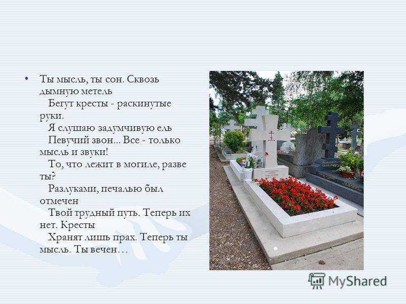 Сонник: к чему снится кладбище и покойники, видеть могилы родственников, ходить по кладбищу